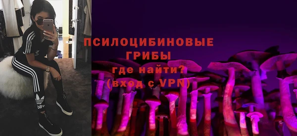 spice Коряжма