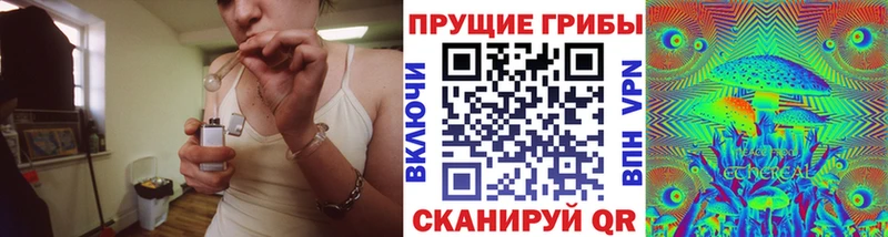 Купить где  Аргун  Галлюциногенные грибы Psilocybe 